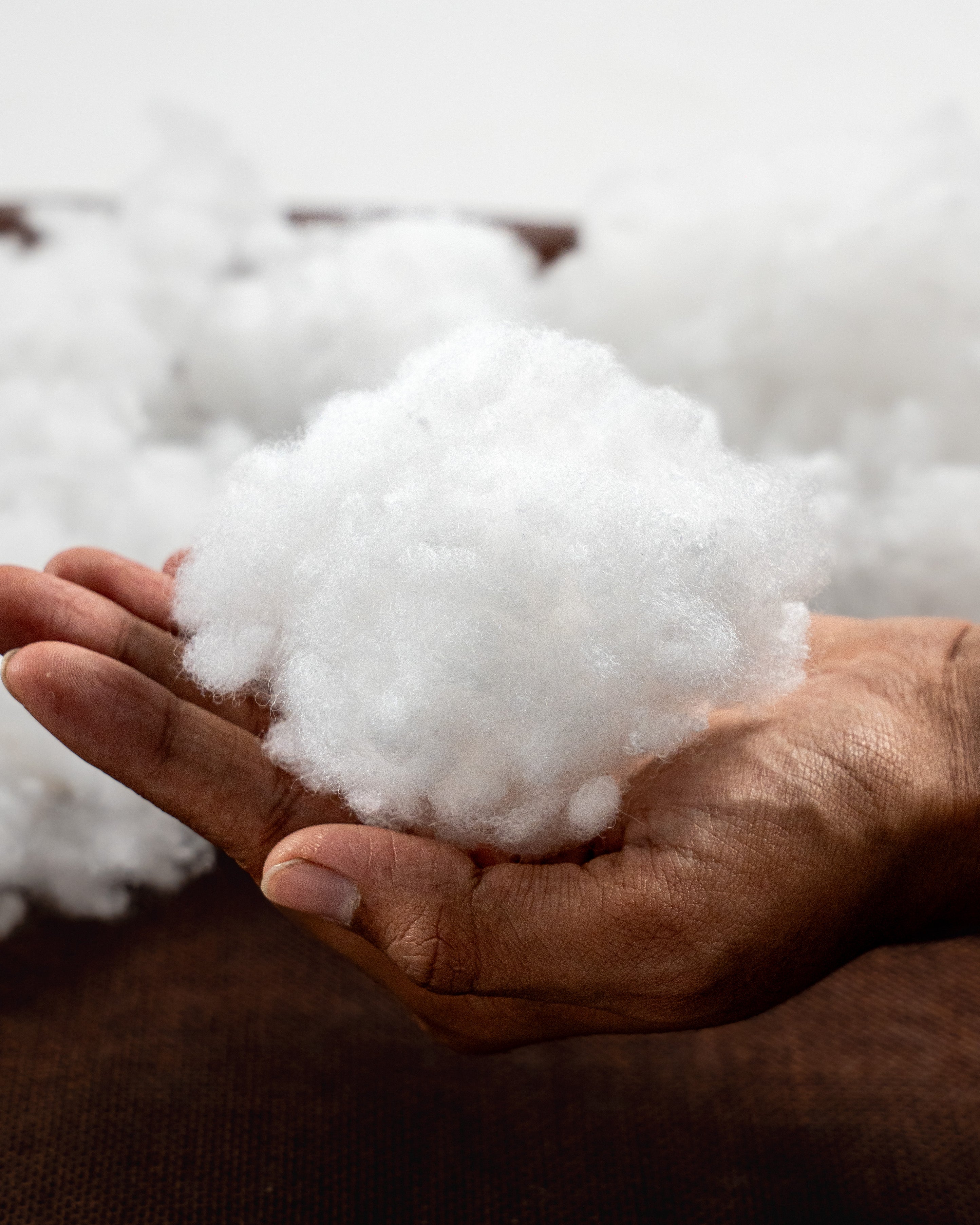 Ball Fiber